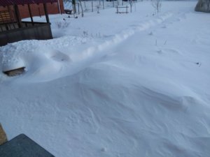 IMG_20190315_185433.jpg
