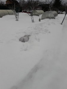 20190316_154029.jpg