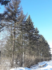 20190327_104604.jpg