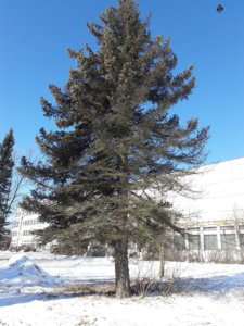 20190327_100936.jpg