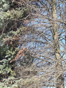 20190327_104641.jpg