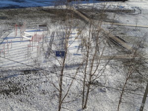 20190327_081921.jpg
