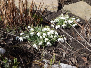 DSCN9427.JPG