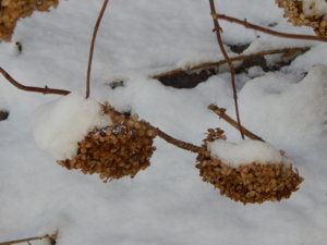 DSCN9438.JPG