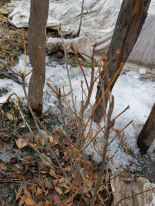 20190328_172717.jpg