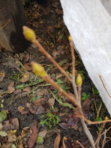20190328_172548.jpg