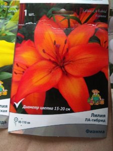 n9nzgHoYhjo.jpg