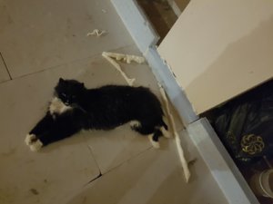 20190329_220315.jpg