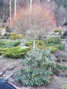 20190327_184524.jpg