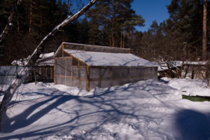 img-p-1110064_resize.jpg