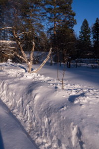 img-p-1110170_resize.jpg