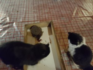 20190405_202351.jpg