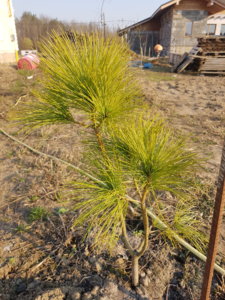 20190406_173734.jpg