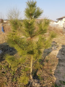 20190406_173331.jpg
