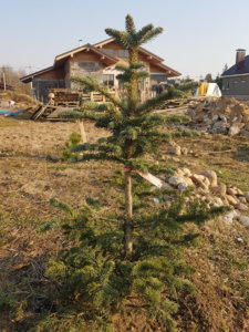 20190406_173716.jpg