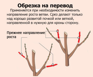 mindal_foto15-2.jpg