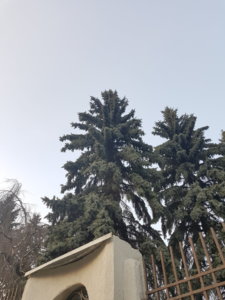 20190408_191844.jpg