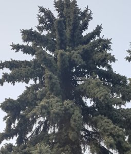 20190408_210836.jpg