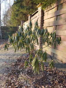 20190404_074145.jpg