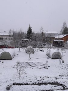 снег.jpg