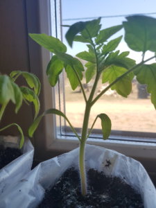 20190413_143346.jpg