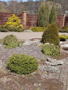 20190414_124040.jpg