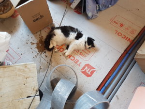 20190414_133705.jpg
