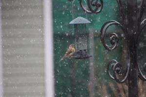 IMG_3870.JPG