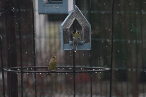 IMG_3912.JPG