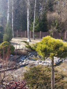 20190413_111346.jpg