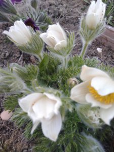 IMG_20190414_185559.jpg