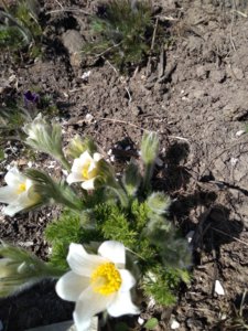 IMG_20190414_115848.jpg
