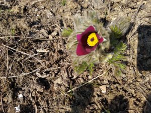 IMG_20190406_111916.jpg