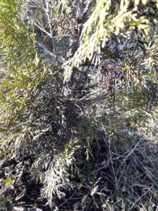 20190417_174612.jpg