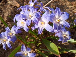 IMG_20190418_175335.jpg