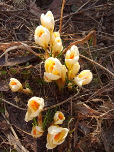 IMG_20190418_175359.jpg