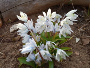 IMG_20190418_175433.jpg