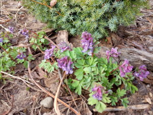 IMG_20190418_175529.jpg