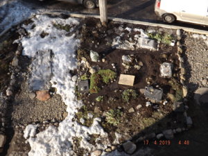 2019.04.17 _  DSCF3274.JPG