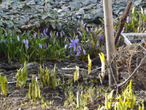 2019.04.17 _  DSCF3285.JPG