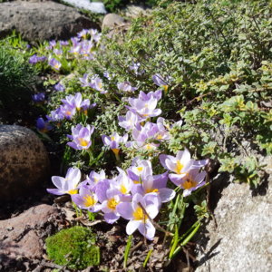 20190416_103534.jpg