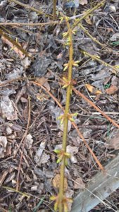 WP_20190423_14_32_09_Rich_LI.jpg