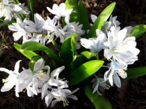 20190422_174738.jpg