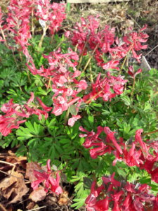 20190422_174835.jpg