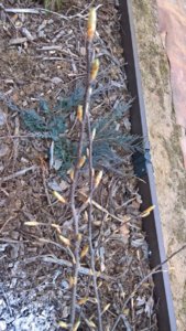 WP_20190425_07_51_00_Rich_LI.jpg