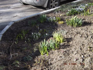 DSCF3301.JPG