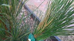 WP_20190426_11_09_50_Pro_LI.jpg