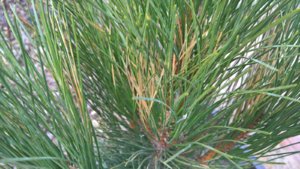 WP_20190426_11_10_01_Pro_LI.jpg