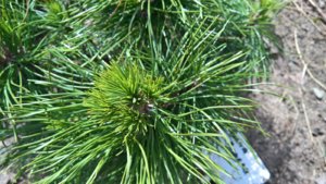 WP_20190426_11_07_07_Pro_LI.jpg