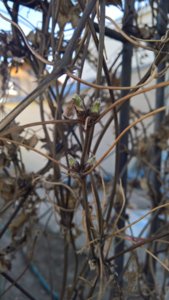 WP_20190427_13_46_26_Pro_LI.jpg